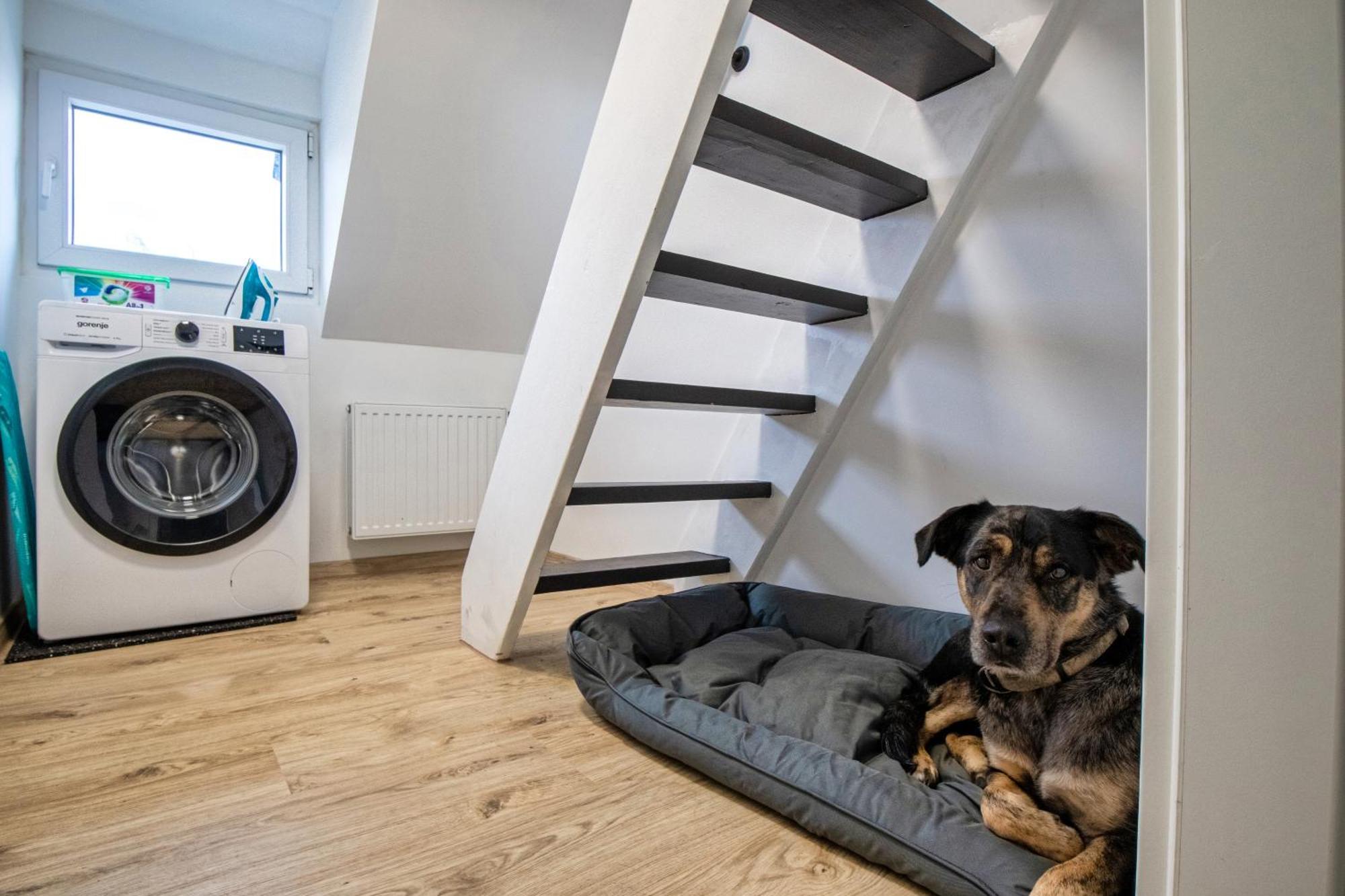 110 Qm Penthousewohnung Bei Bonn / Koeln Lohmar Eksteriør billede